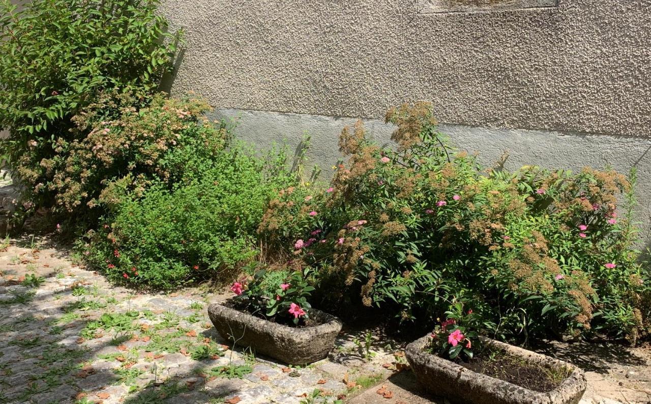 La Cour Pavee, T2 Lumineux, Cosy, Confort 55 M2 Saint-Léonard-de-Noblat Dış mekan fotoğraf